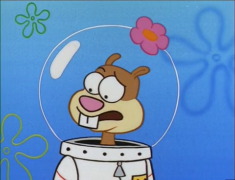 SpongeBuddy Mania - SpongeBob Episode - Karate Choppers